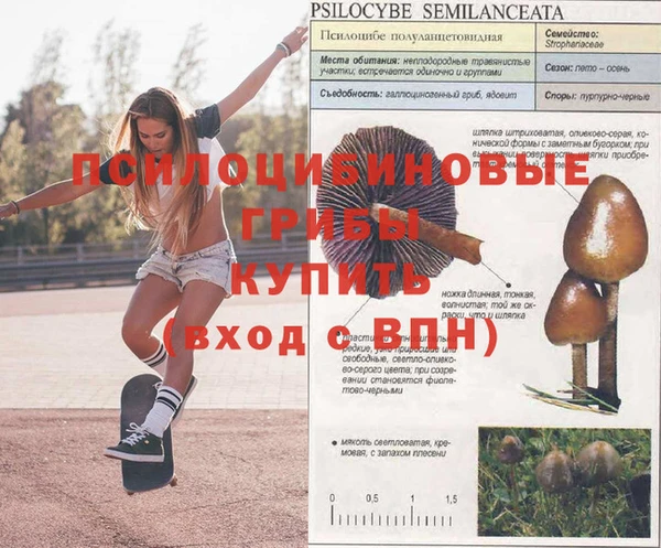 таблы Арсеньев