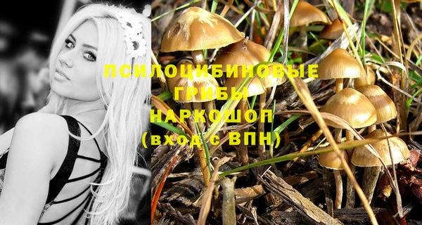 таблы Арсеньев