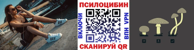 kraken сайт Яблоновский Псилоцибиновые грибы Cubensis